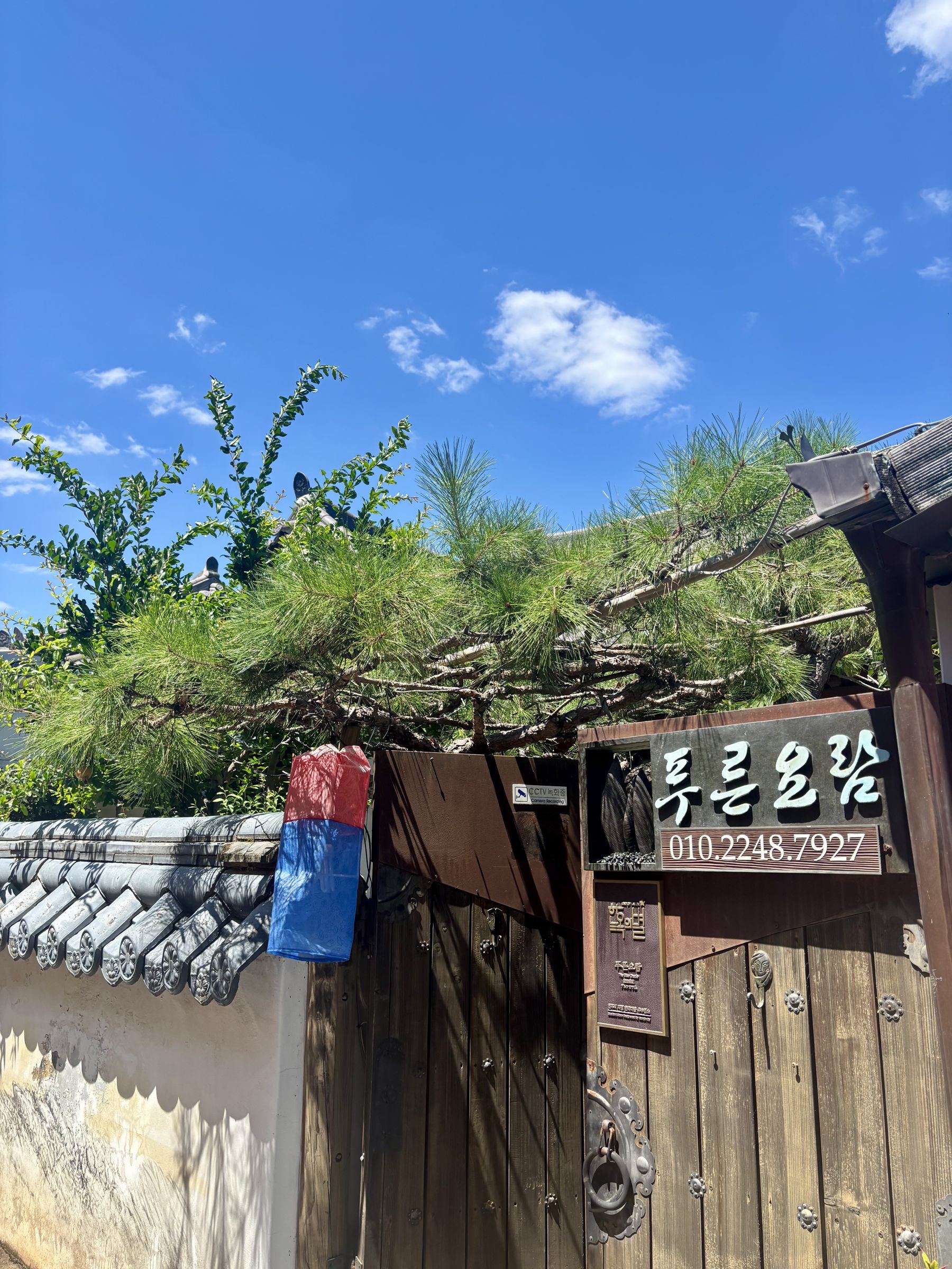 파란 하늘 아래 소나무가 드리운 푸른요람 나무 대문과 간판