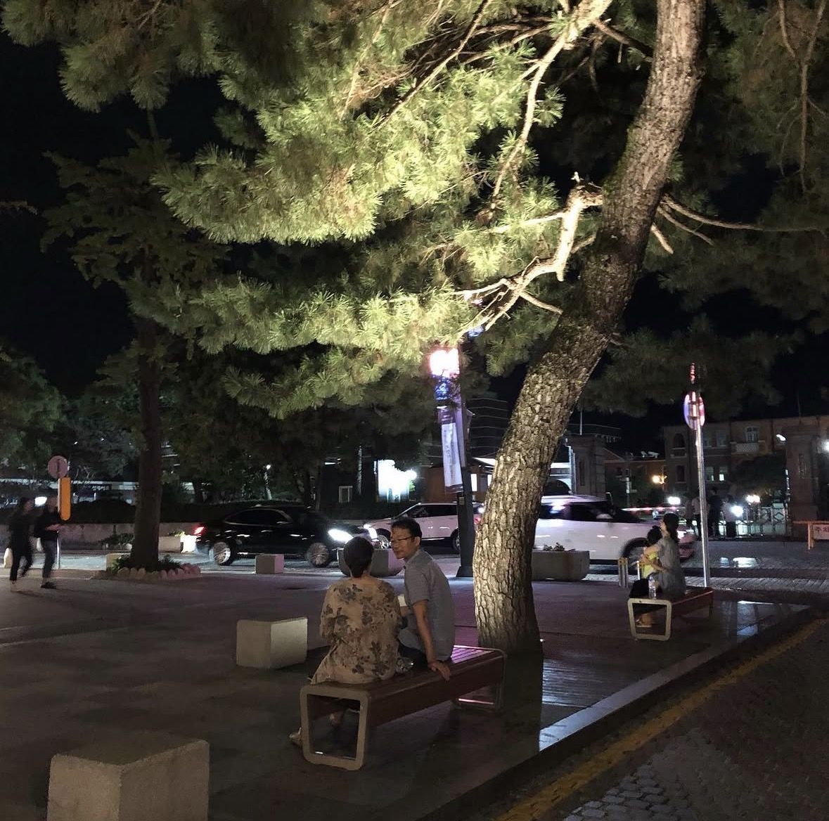 가로등 불빛 아래 소나무가 선 한옥마을의 밤